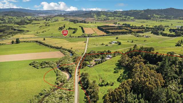 37 Kapowai Road Coroglen_4