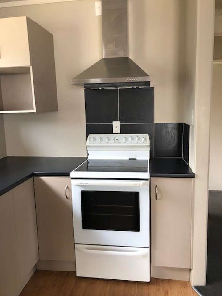 157c Nixon Street Hamilton East_5