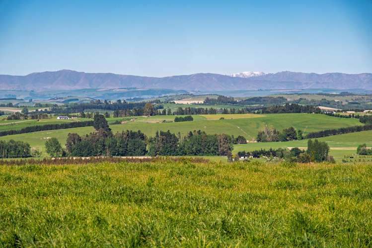 285 Greenvale Road_5