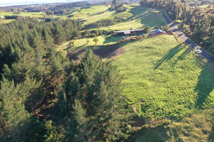 95 Te Kohanga Road Whakamarama_6