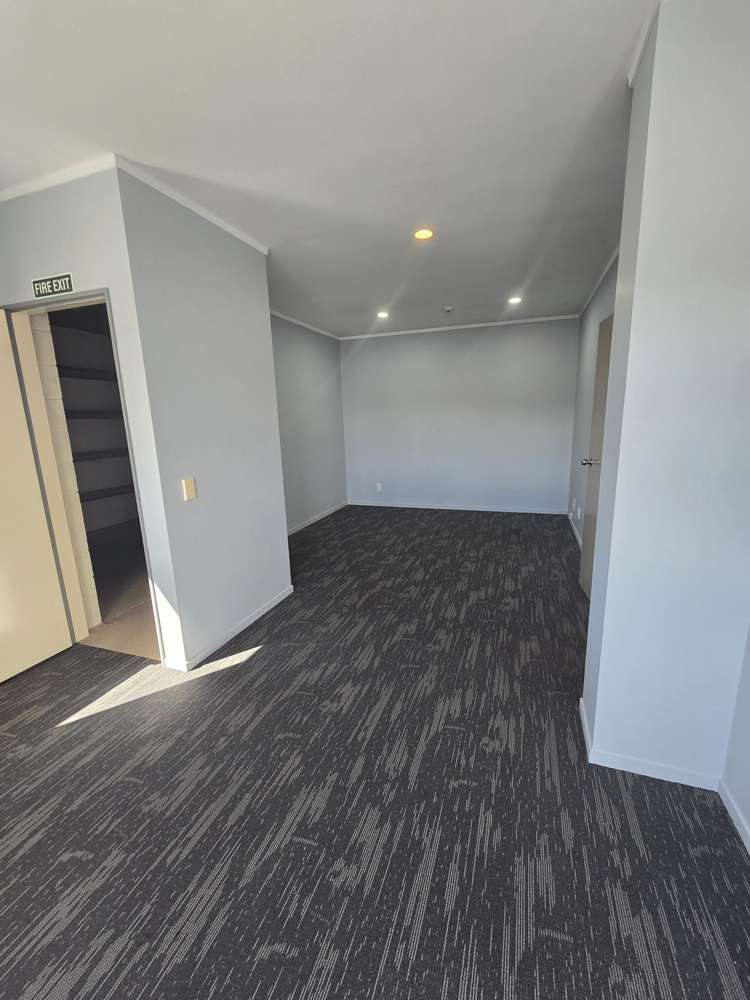 80 White Street Fenton Park_13