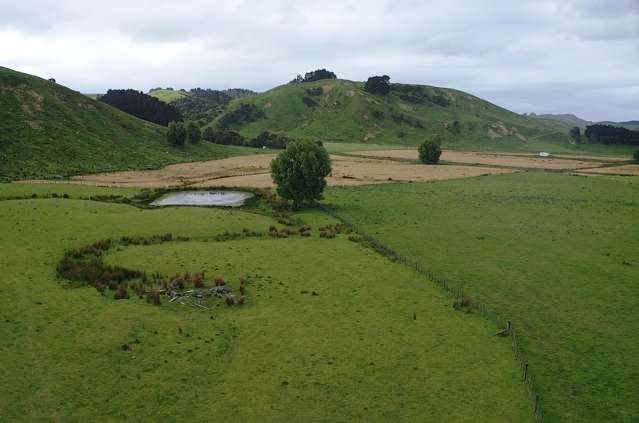 37 Waikakahi Road Pongaroa Pongaroa_2