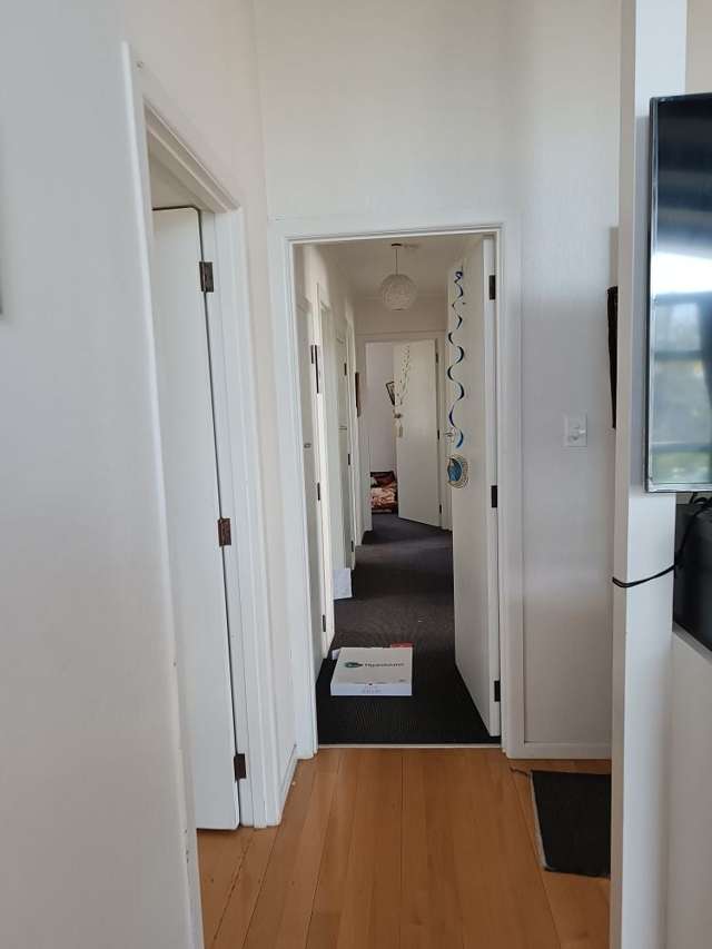 168 Ennis Avenue Pakuranga Heights_4