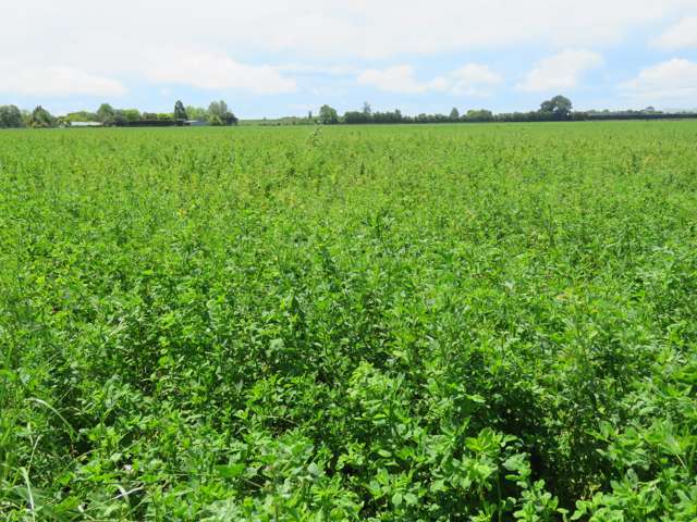 150 Paki Paki Road Longlands_3