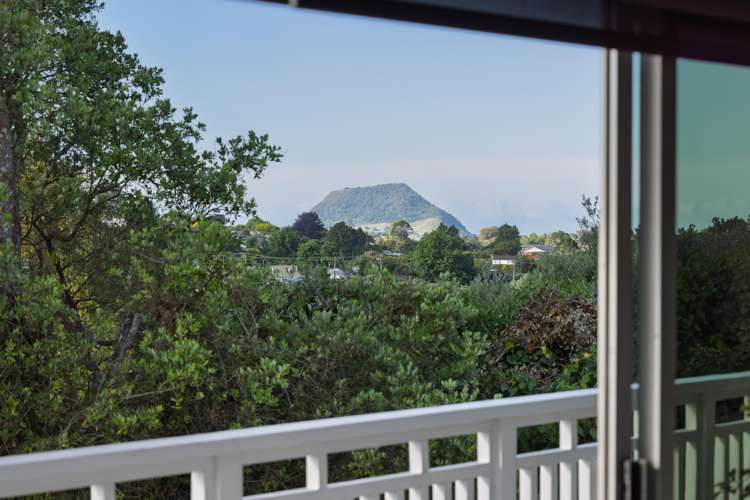 2 Lebanon Street Judea_10