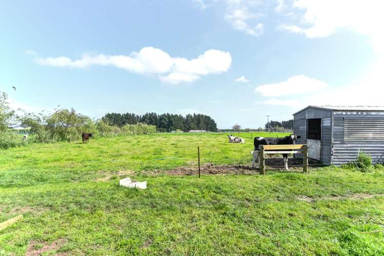 91 Bushy Park Road Kai Iwi_17