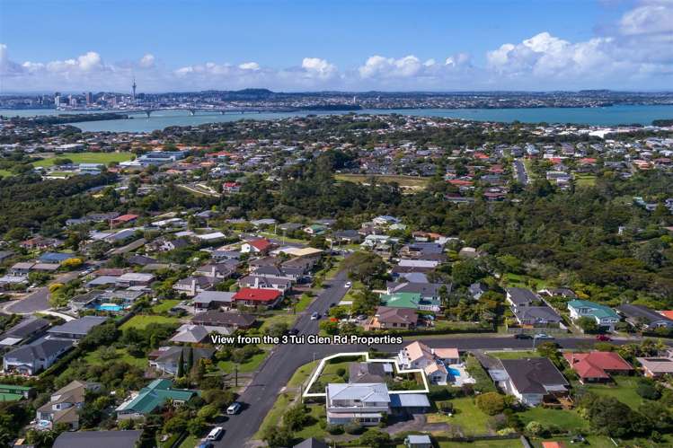 1/3 Tui Glen Road Birkenhead_1