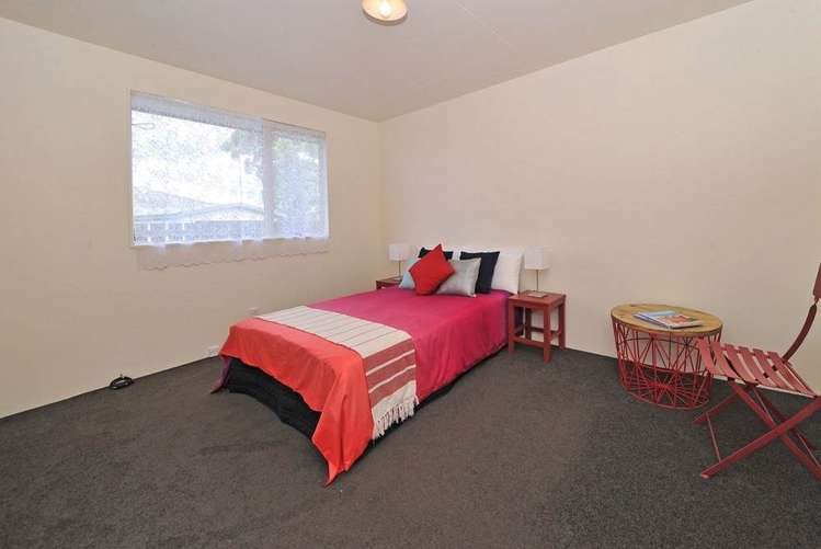 7 Norrie Smith Avenue Flat Bush_5