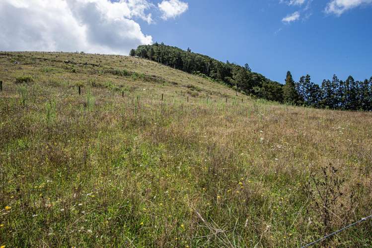 6 Kara Road Maungatapere_20