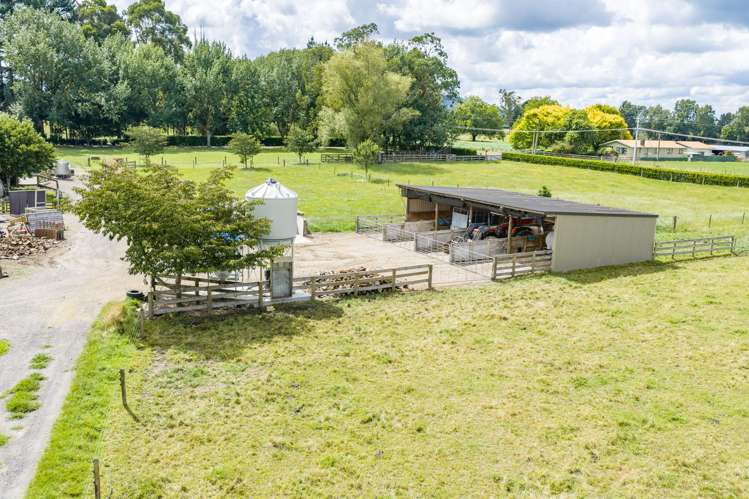 737 Tauwhare Road Tauwhare_6