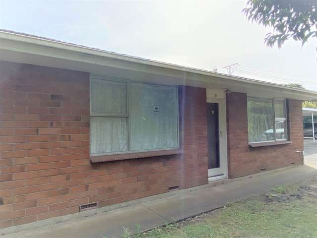 1/13 Gavin Street Ellerslie_1