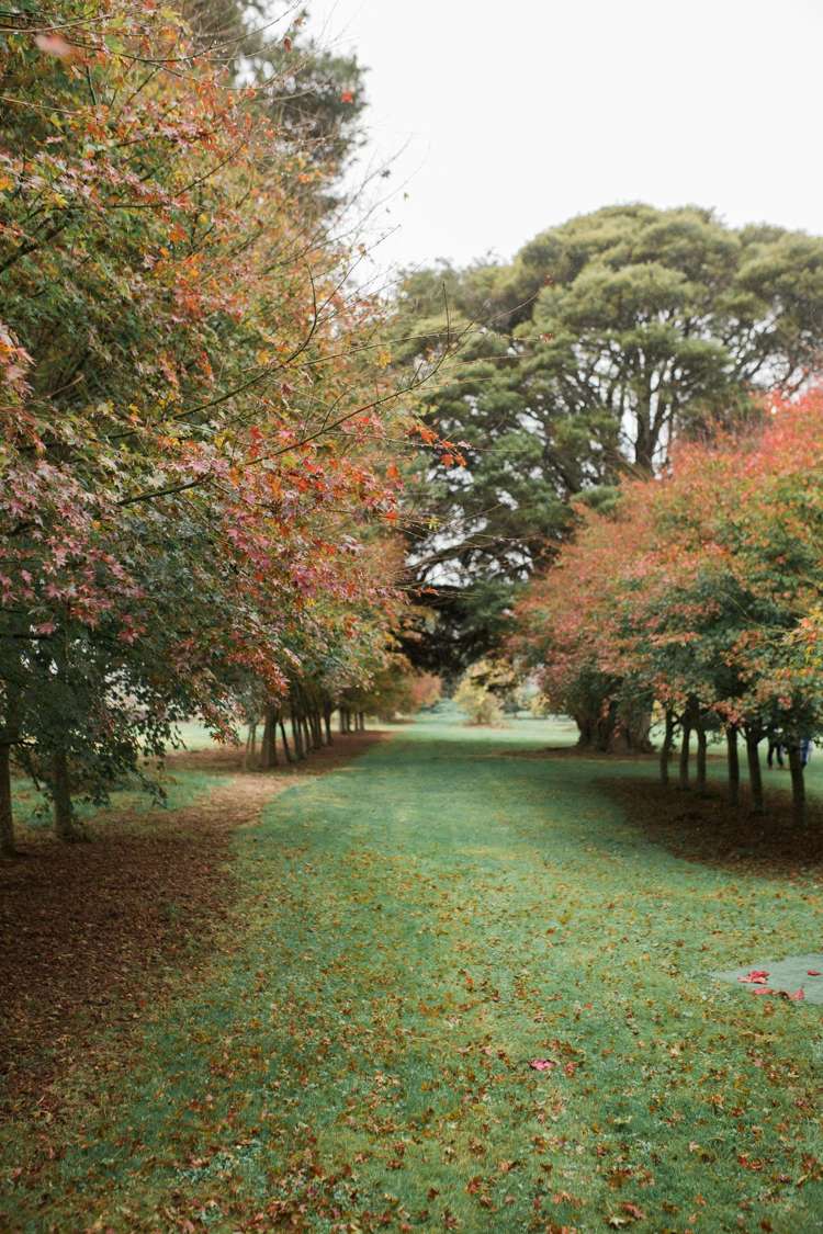 50 Parish Line Road Clevedon_25