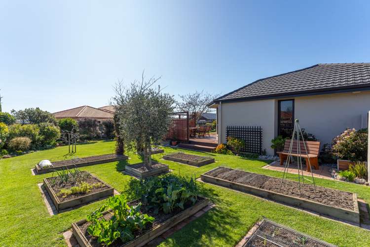 35 Hope Drive Witherlea_9