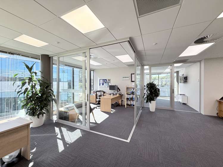 42 Tawa Drive Albany_9