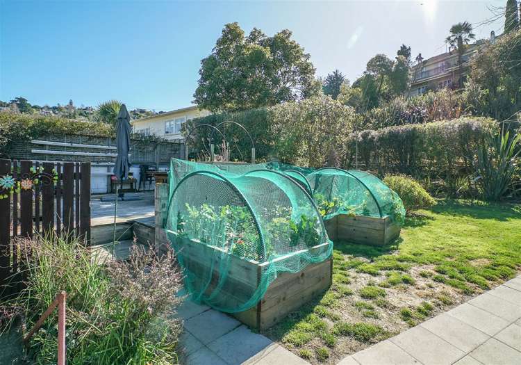 87 Toi Toi Street Toi Toi_6