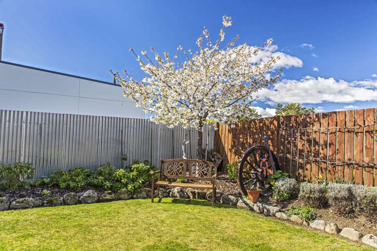 98a Barry Avenue Cromwell_13