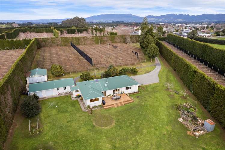 113 Beach Road Katikati_21