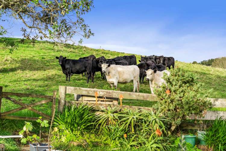 60 Coalmine Road Opaheke_12