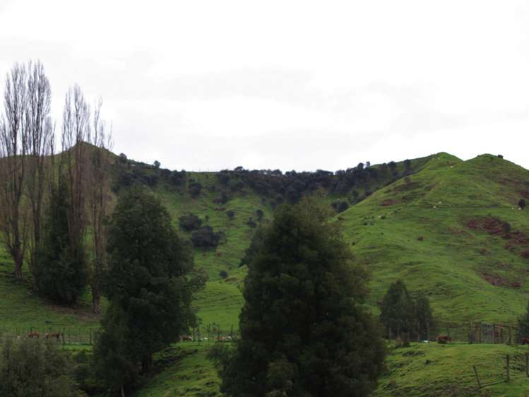 166 Saddler Road Ruapehu_7