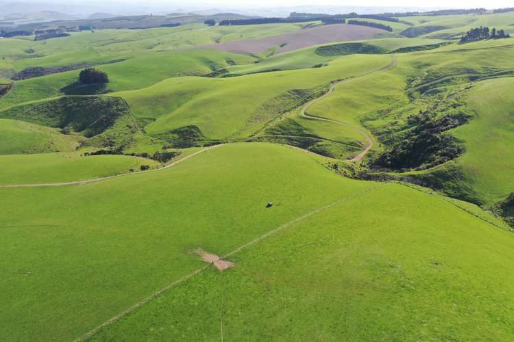 339 Rankleburn Road Pomahaka_9