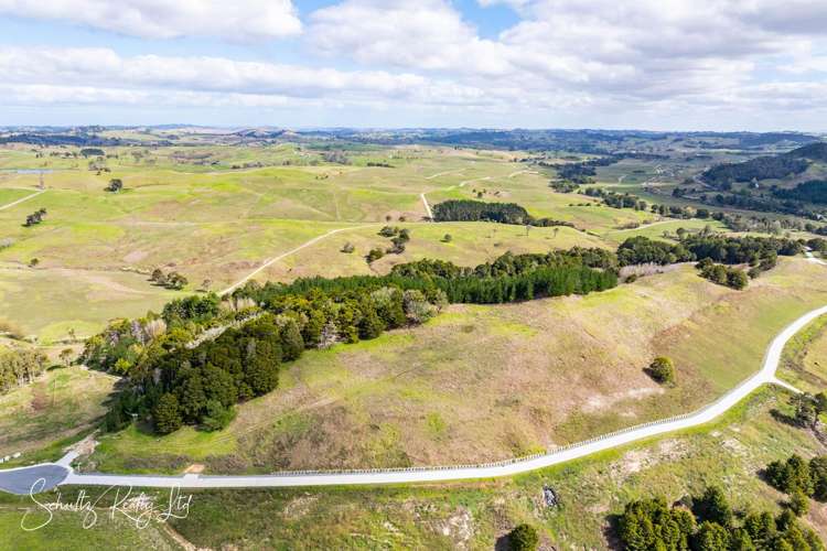 Whakapirau Road Maungaturoto_13