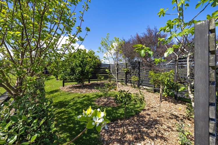 51b Bridle Creek Road Raglan_48