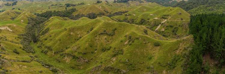 240 Agnews Road Hunterville_8