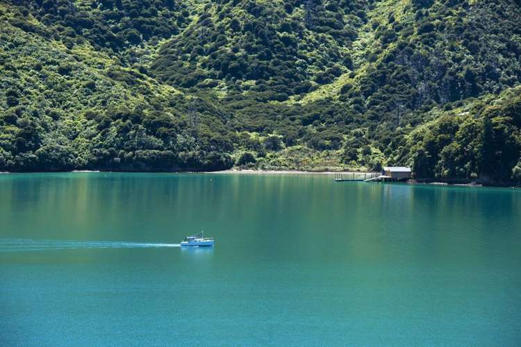 444 Port Underwood Road Whatamango Bay_21