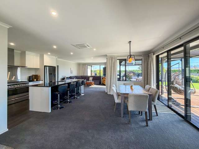 33 Birchwood Avenue Blenheim_1
