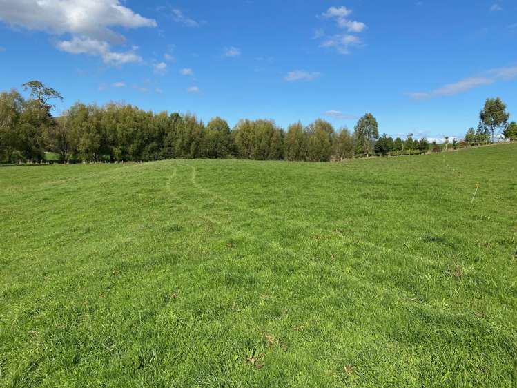 305 Waitetuna Valley Road Raglan_18