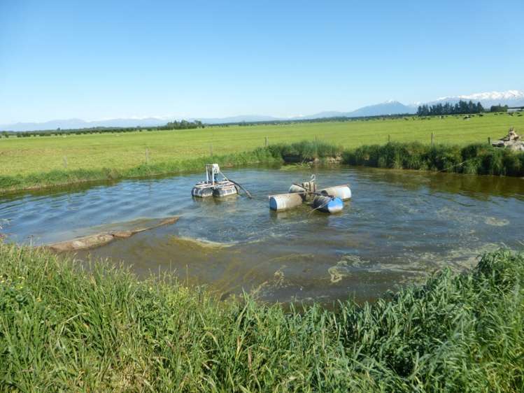 282 Braemar Lauriston Road Lauriston_11