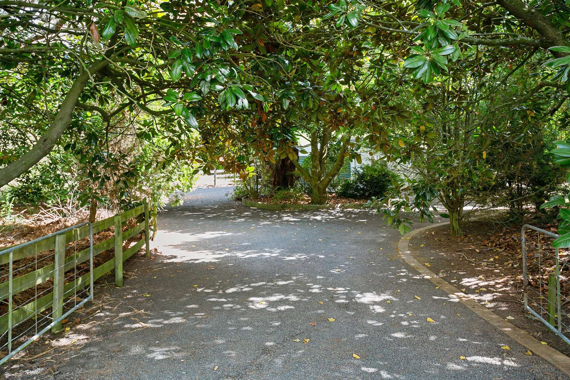 1447 Piakonui Road Richmond Downs_0