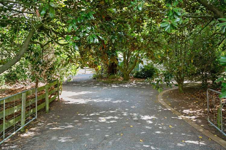 1447 Piakonui Road Richmond Downs_0