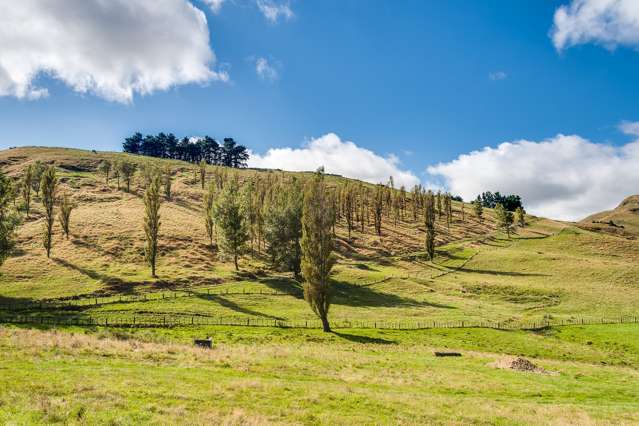 Mangleton Road Central Hawkes Bay Country_4