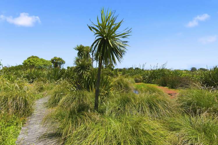 234 Te Hapua Road Te Horo_39