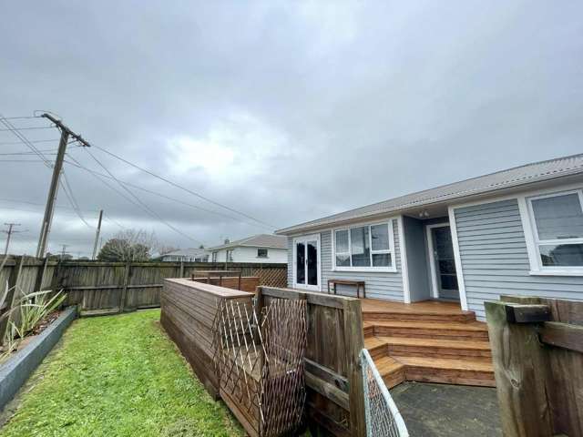 12 Karaka Street 2160_1