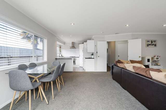 78 Mansels Road Greerton_3