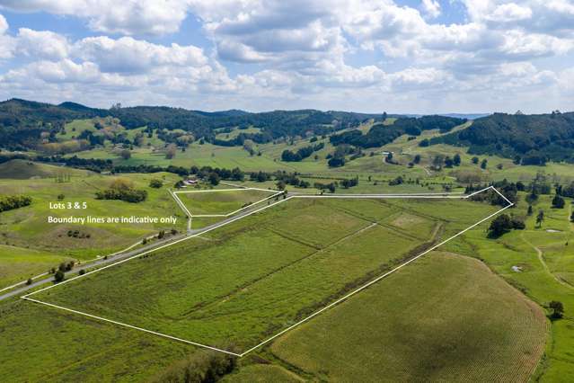 Lots 3 and 5 Mason Road Maromaku_1