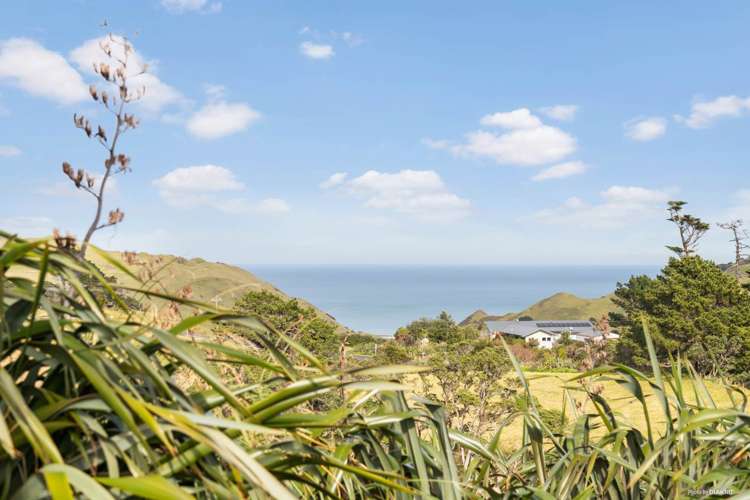 1966 Awhitu Road Waiuku_21