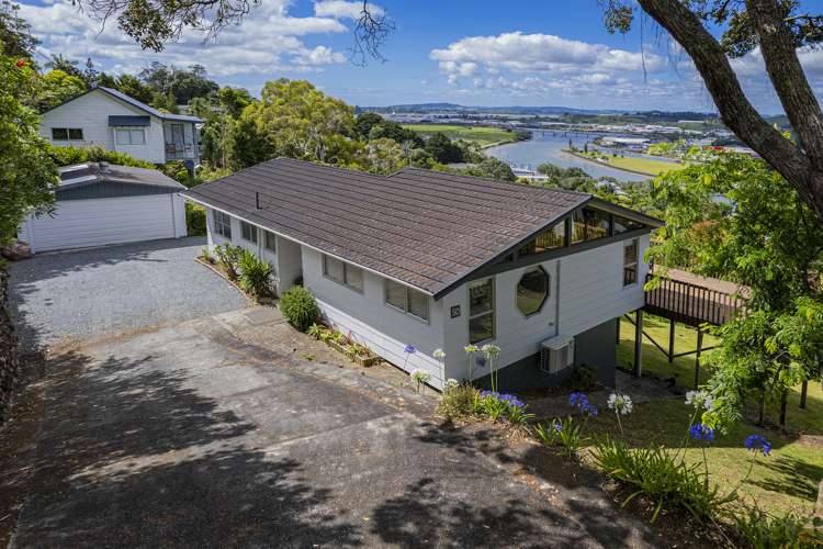 50 Punga Grove Avenue Riverside_17