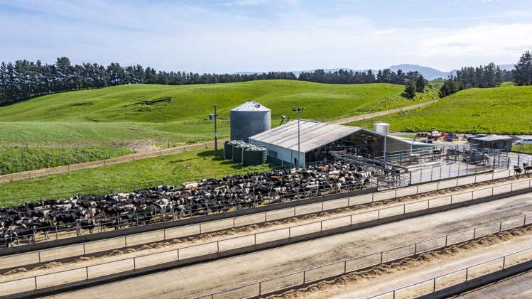 236 Tower Street Ormondville_5