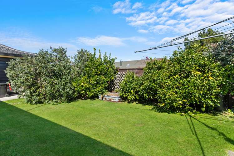 13 Stirling Drive Morrinsville_16