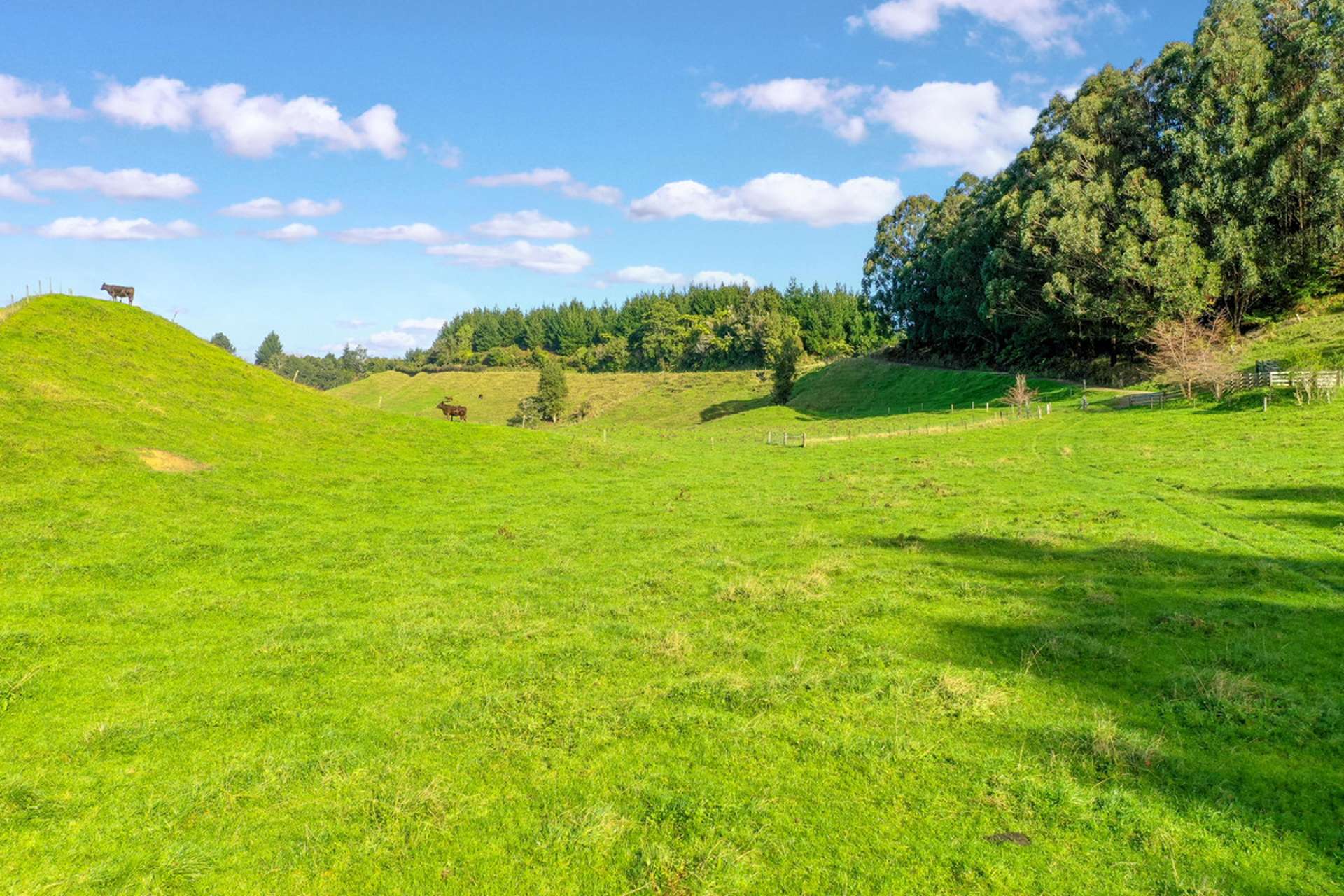 2/795 Stanley Road Whakatane_0