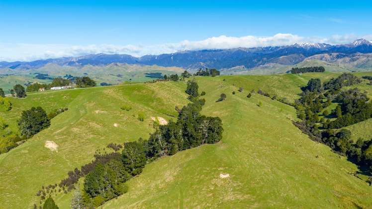 1139 Blackburn Road Ongaonga_19