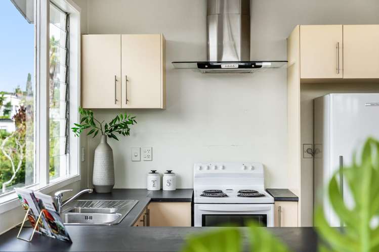 14 Littlejohn Street Hillsborough_6