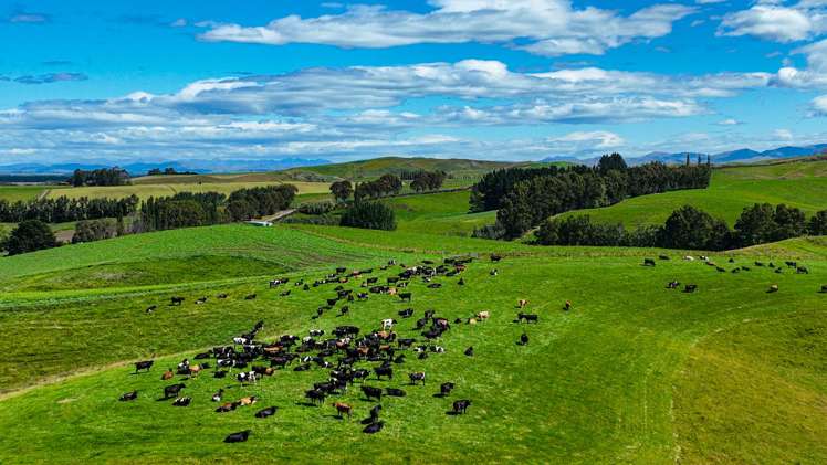 322 Wendon Creek Road Wendon_15