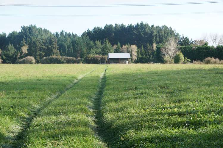 69 Avenue North Road Levin_1