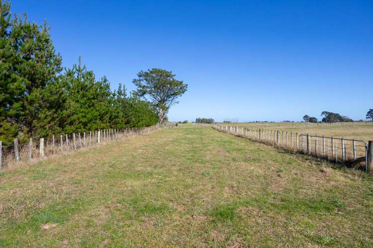 177 Downs Road Himatangi_10