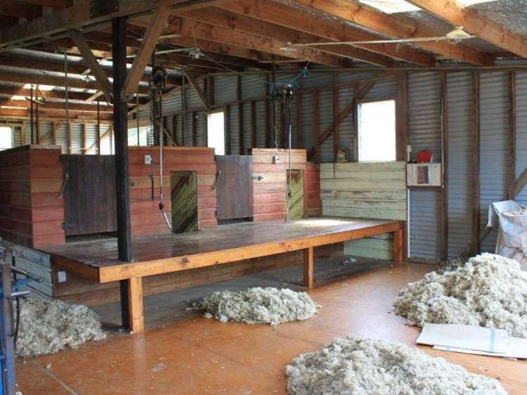 145 Adam Sutherland Road Palmerston_14