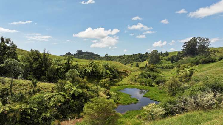636 Otara Road Opotiki_8